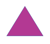 POLIGON